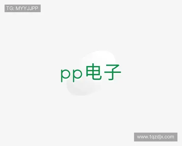 了解PP电子